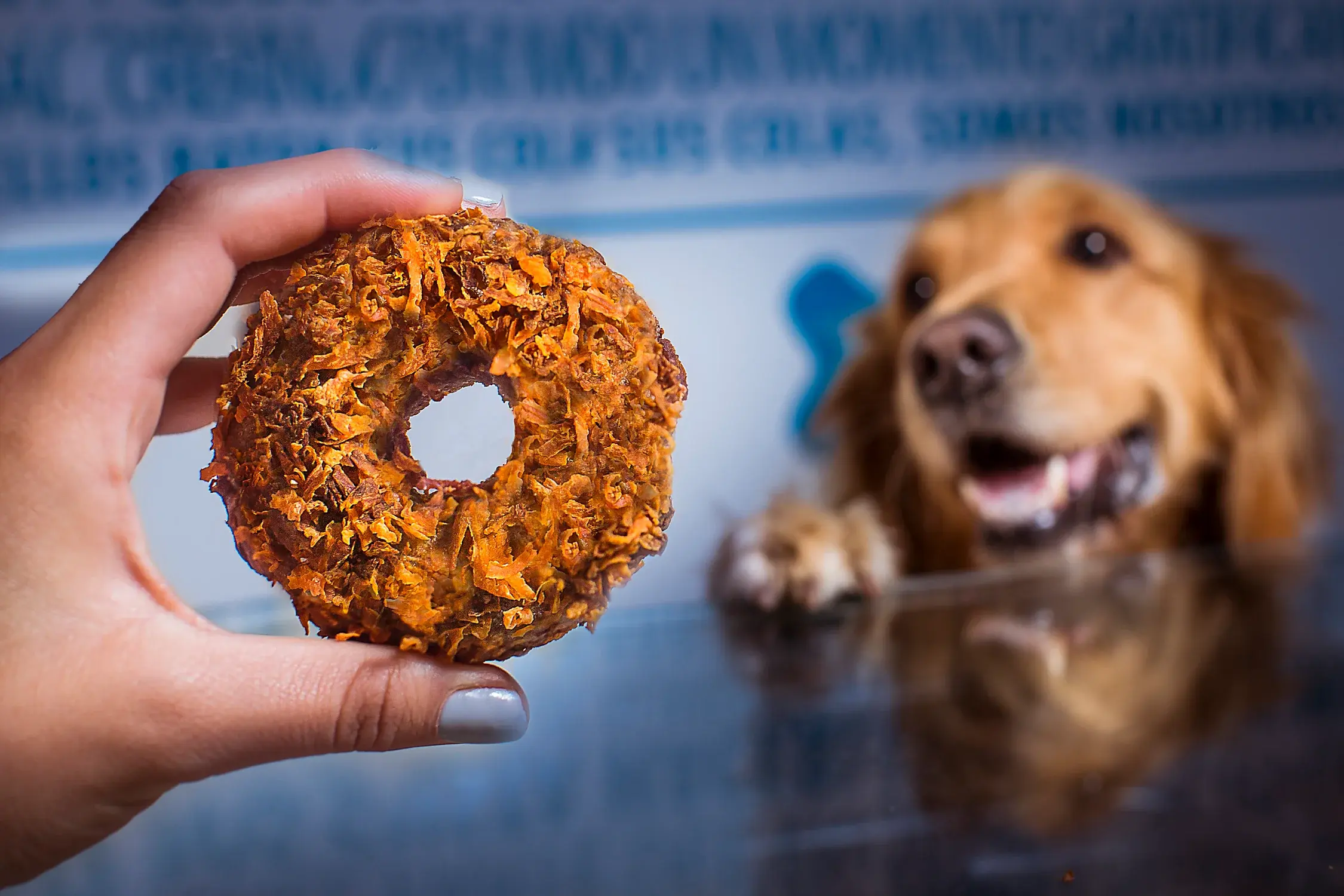 Snack natural para perros - Nutrición premium